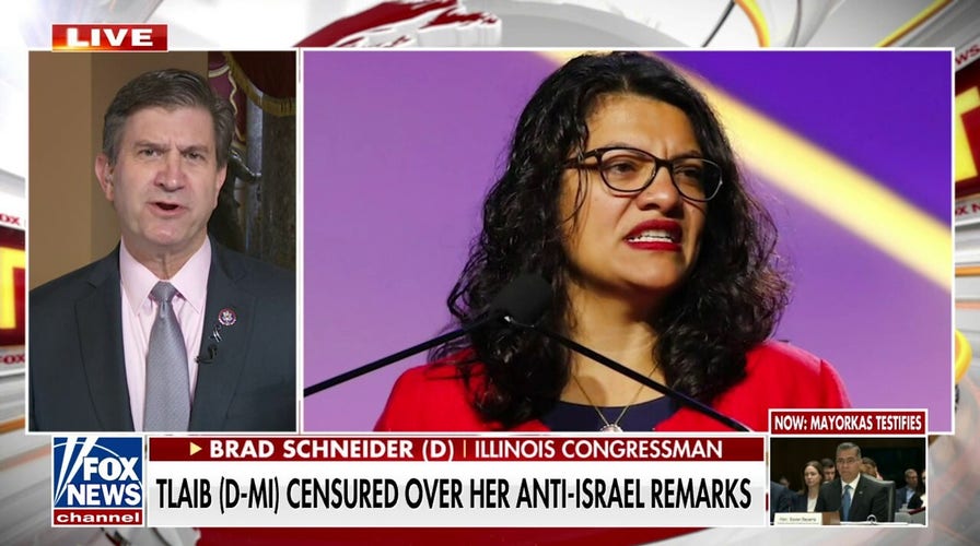 Jewish Democrat sides with Republicans on Tlaib censure: 'Record needs to be corrected'