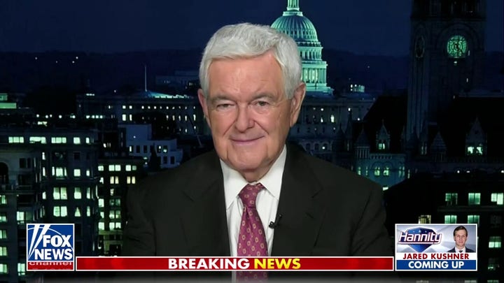 Newt Gingrich: Fetterman is more radical than Bernie Sanders