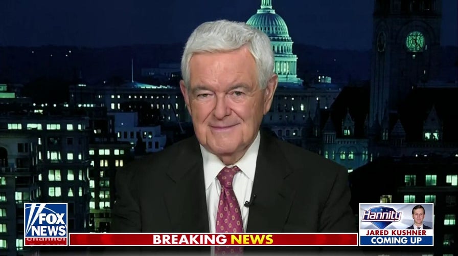 Newt Gingrich: Fetterman is more radical than Bernie Sanders