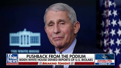 Tulsi Gabbard’s claims about US funding biolabs worldwide draw response from former EcoHealth head