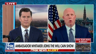 Russia reportedly helping Iran with drone tactics, should be ‘very careful’: US amb. to NATO