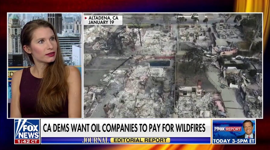 California Democrats Shift Blame on Fires 