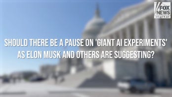 CONGRESS WEIGHS IN: Should tech companies pause 'giant AI experiments'?