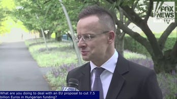 Hungarian minister talks 'best' relationship for US-Hungary under Trump, 'progressive policies from Conservative party