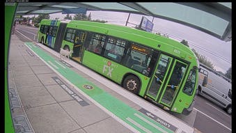 Two goats stroll onto Oregon bus, then exit moments after doors reopen