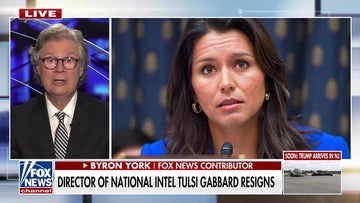 Tulsi Gabbard's temporary replacement announced following resignation