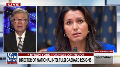 Tulsi Gabbard's temporary replacement announced following resignation