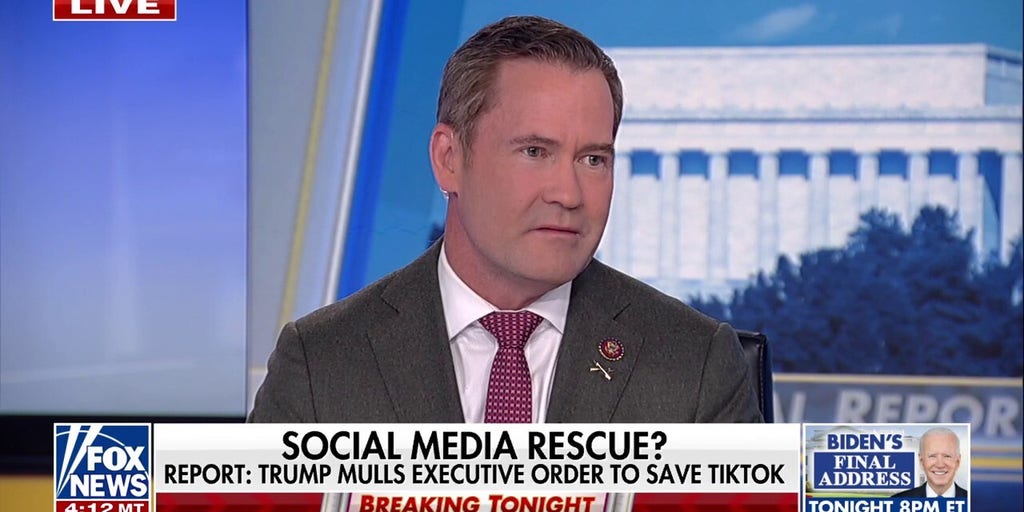 Trump admin will find a way to 'preserve' TikTok, Mike Waltz says