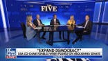 Kayleigh McEnany: You can't have a broad caucus that includes communists