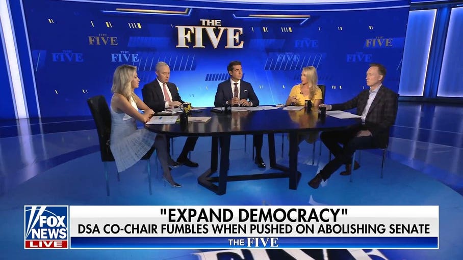 Kayleigh McEnany: You can't have a broad caucus that includes communists