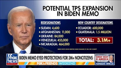 Biden admin considered expanding protections for 3M+ non-citizens: Report