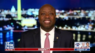 Sen Tim Scott: Dems 'lost their minds because they're losing their voters' - Fox News