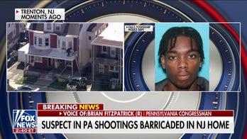 Until we address mental health, more incidents like this will keep happening: Brian Fitzpatrick