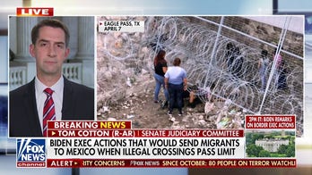 Tom Cotton on growing border crisis: 'Biden has stuck his head in the sand'