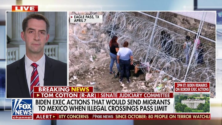 Tom Cotton on growing border crisis: Biden has stuck his head in the sand