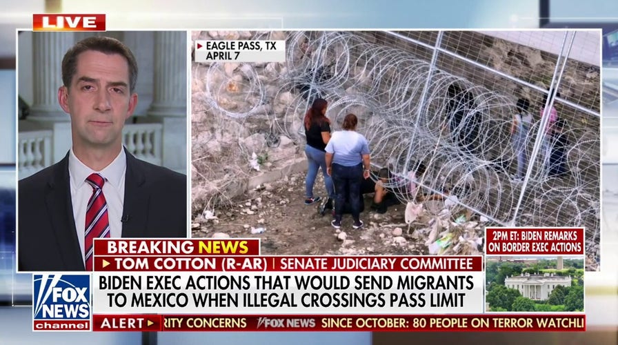 Tom Cotton on growing border crisis: 'Biden has stuck his head in the sand'
