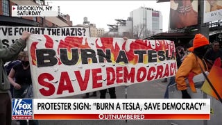 Hundreds of 'Tesla takedown' protests erupt nationwide: 'Movement of anger and hate' - Fox News