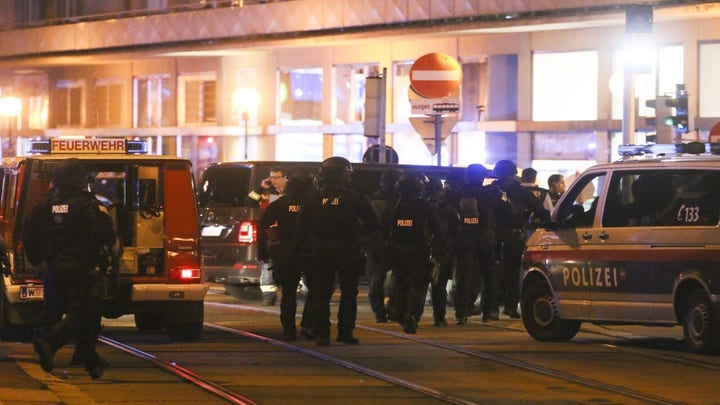 Vienna officials call shooting in city center 'terrorist incident'