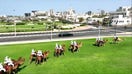 Dozens of camels welcome Trump's motorcade to Qatar.