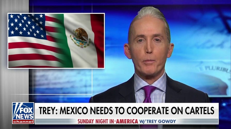 Trey Gowdy's message to Mexico on cartel cooperation: 'Do something about the cartels or we will'