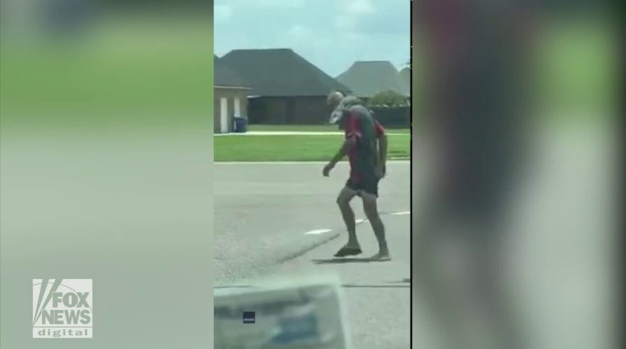 Man walks down street with live alligator on his shoulder