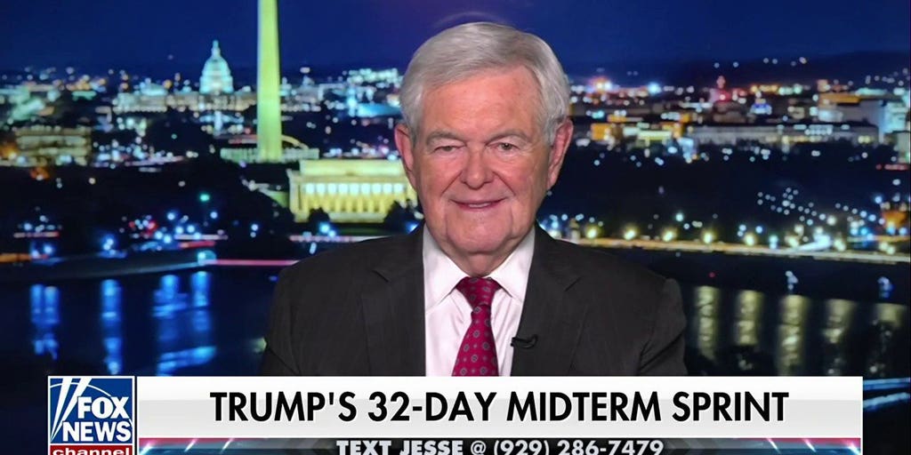 Newt Gingrich: How do they FIND these people?