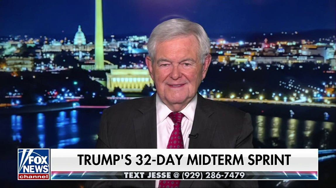 Newt Gingrich: How do they FIND these people?