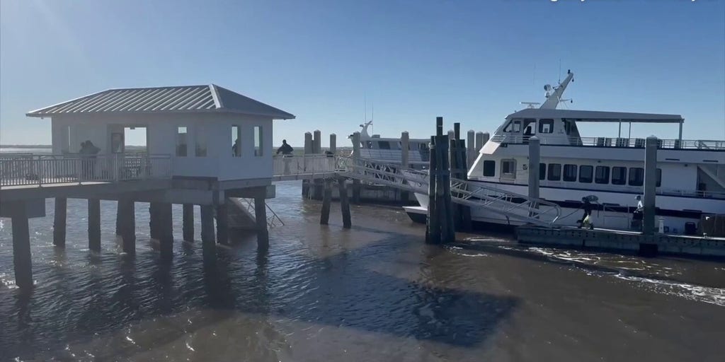 Georgia dock walkway collapse aftermath caught on video