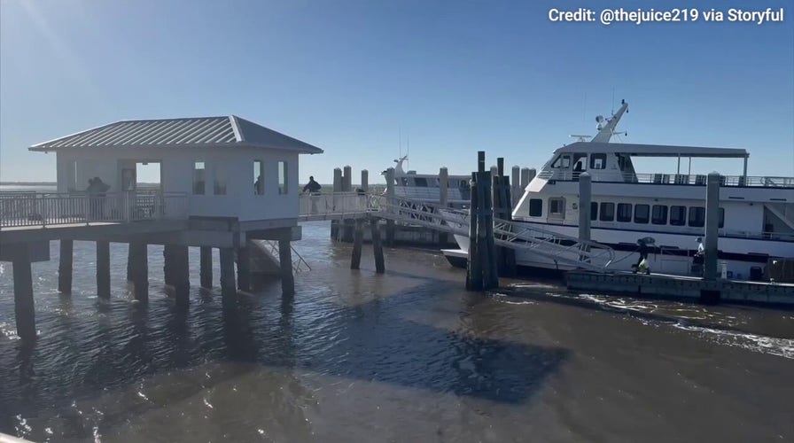 Georgia dock walkway collapse aftermath caught on video