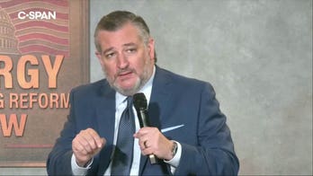'Marxists' killing the possibility of bipartisan cooperation before they even get to office, Sen Cruz says