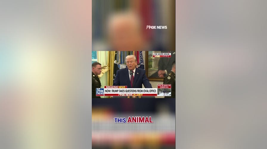 Trump on Brown shooting: 'Hopefully they'll catch this animal'