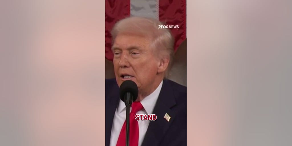 'HOW DO YOU NOT STAND?': Trump calls out Democrats during SOTU