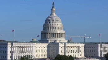 Biden's 'build back better' plan faces bipartisan backlash