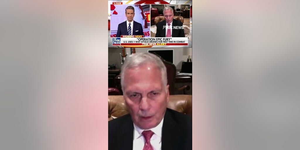 DETAILS: US uses one-way attack drones for FIRST time in combat