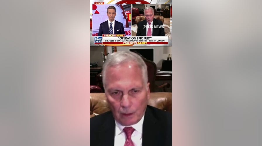 DETAILS: US uses one-way attack drones for FIRST time in combat