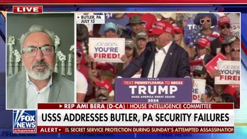 There 'clearly seems to have been some breakdowns' in Trump rally security: Rep. Ami Bera