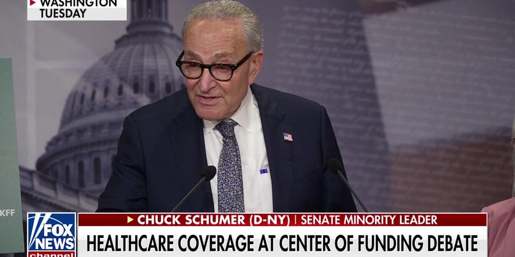 Dem Party is 'brazenly lying' about their desire to give free health care to illegal immigrants: Steve Hilton