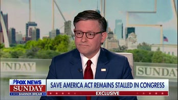 Speaker Johnson warns ‘Marxists’ running for Congress are a ‘serious threat’ to government