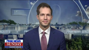 Harvard and other universities have been ‘ransacked’ by antisemitism: Rep. Jake Auchincloss