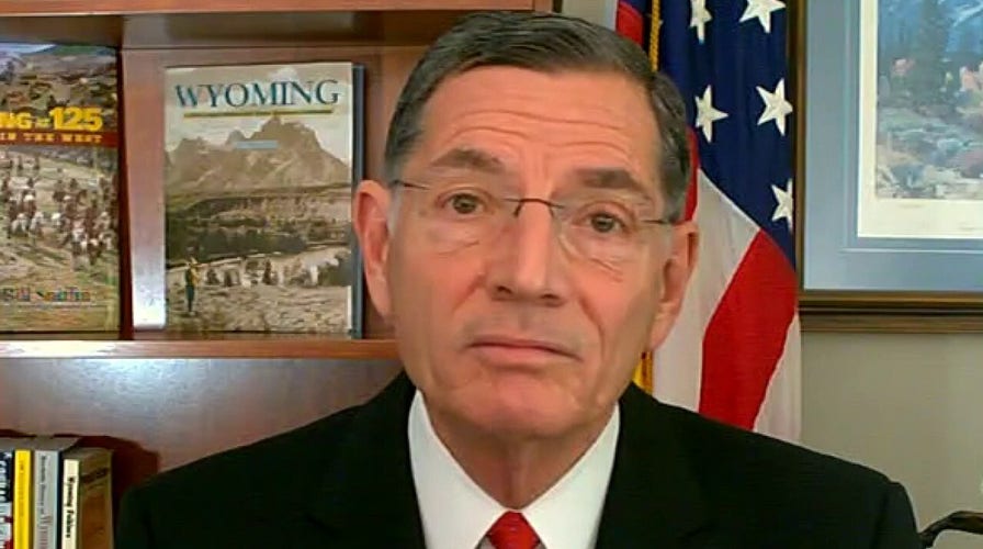 Sen. Barrasso on GOP gaining momentum after battleground victories: 'Rejection election' 