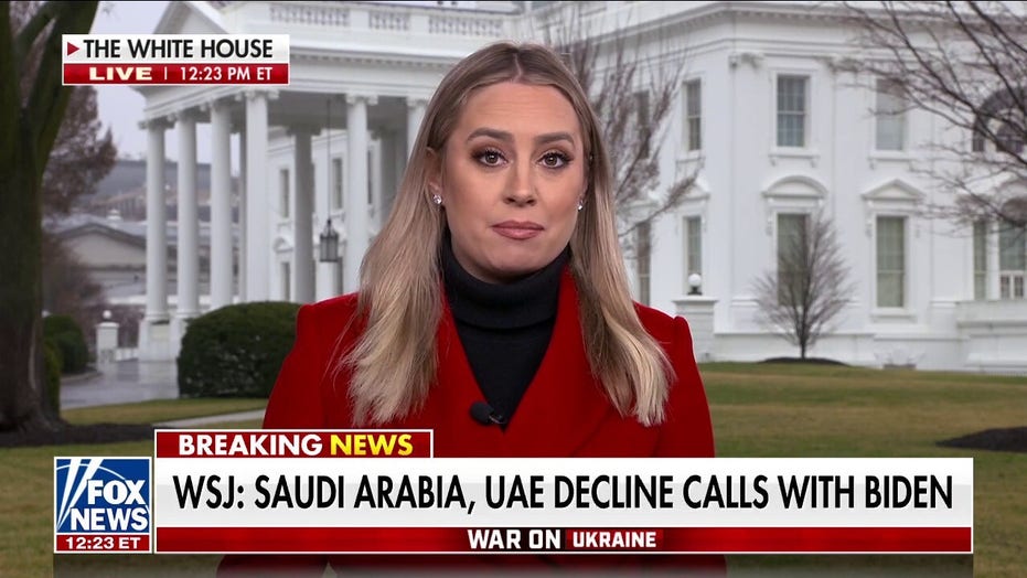 Blinken downplays reports of Saudi, UAE distrust of Biden admin