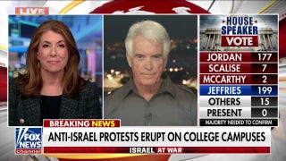 The war in Israel has 'pulled the curtain back': Tammy Bruce - Fox News