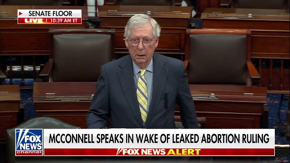 Sen. Mitch McConnell rips left over response to Supreme Court leak: 'They want to elevate mob rule'