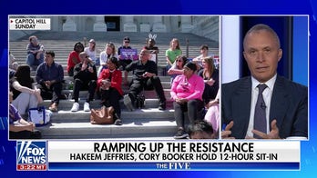 Former Dem congressman urges Dems to 'offer ideas' as they ramp up resistance on Capitol steps