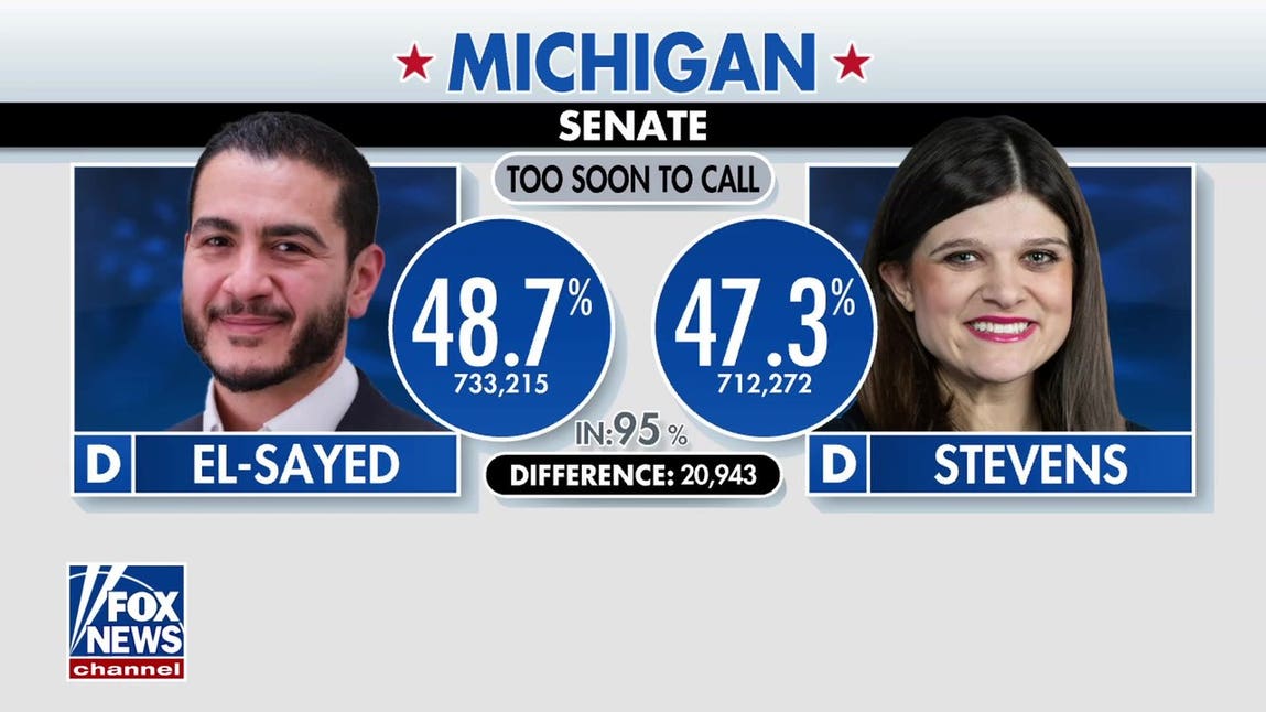 Michigan Senate primary race too close to call amid socialist surge
