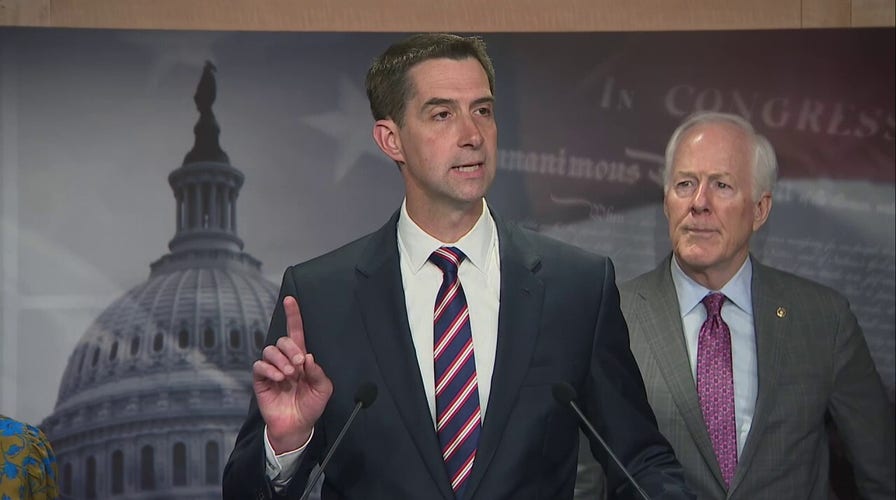 Sen. Tom Cotton slams fanatics and freaks leading anti-Israel protests on US college campuses