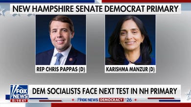 Democratic socialists face next test in New Hampshire primary