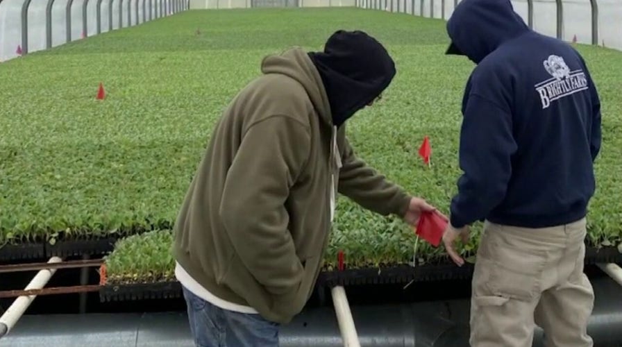 Farmers on struggling with broken food supply amid coronavirus pandemic