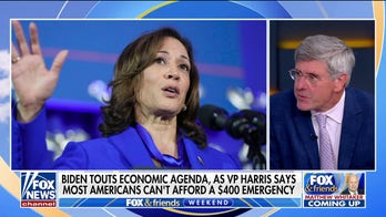 Kamala Harris accidentally told the truth: Stephen Moore