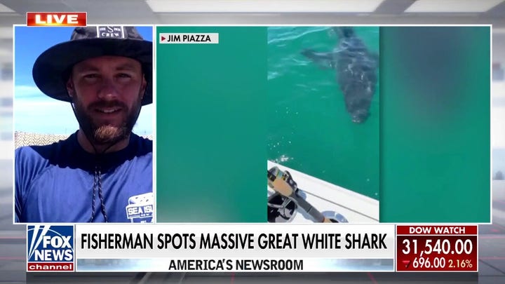 NJ fisherman recalls 'nerve-racking' great white shark encounter